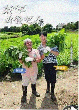 都市恋爱剧晚风知我意海报